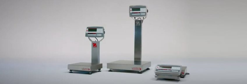 Bench Scales